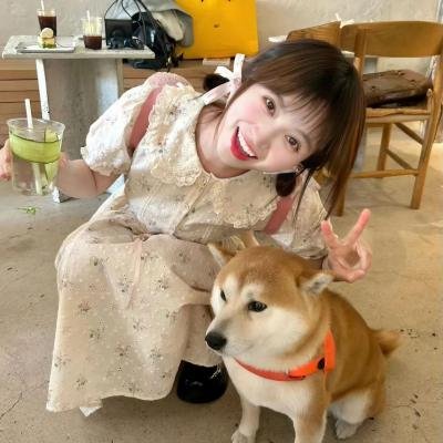 呆瓜兄弟